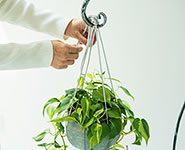 Sen Ropes Senシリーズ専用ロープ(Sフック付)