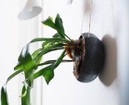 Sen Roly Pots Shallow セン ローリーポット 丸 浅型